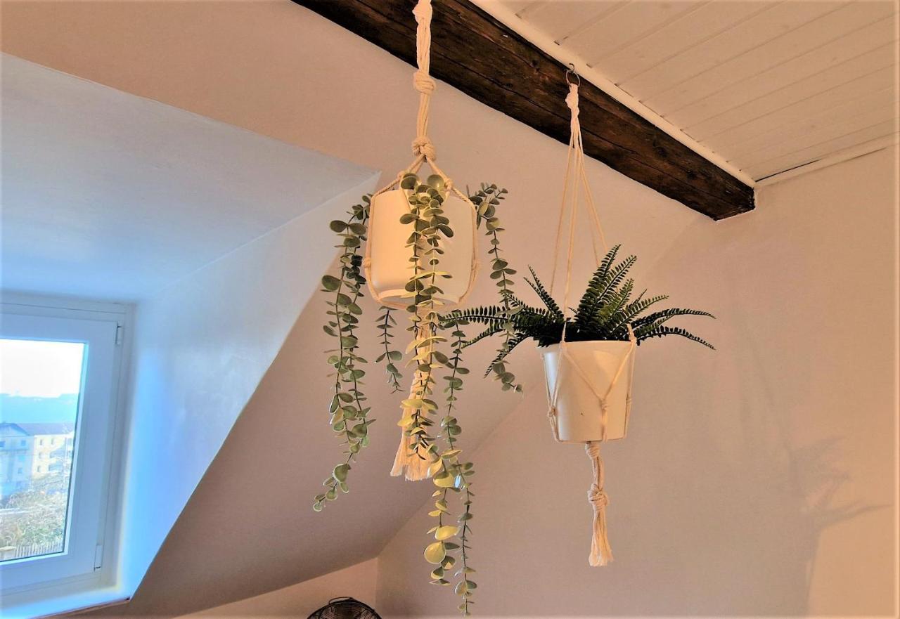 קובלנץ Liebenswertes Apartment 10 Minuten Zur Altstadt מראה חיצוני תמונה